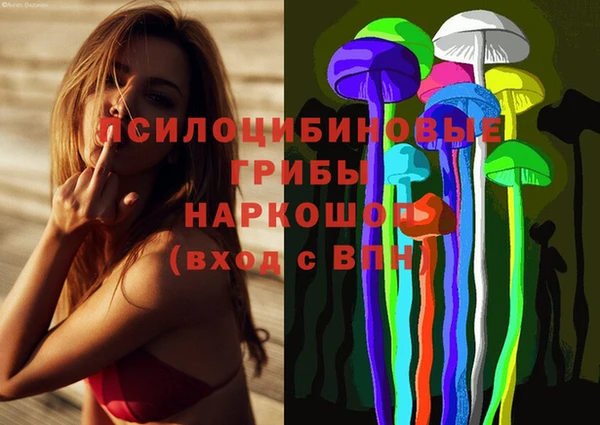 мяу мяу мука Абдулино