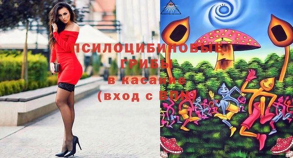 PSILOCYBIN Абинск
