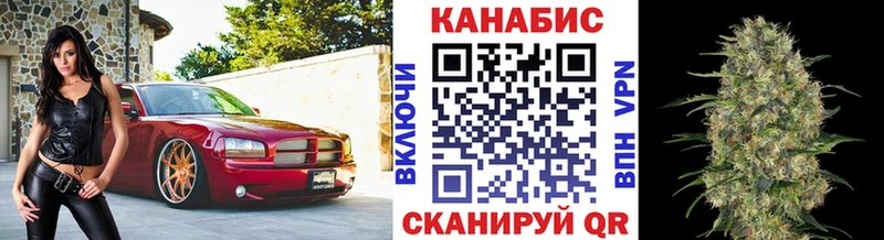 Каннабис семена  Щучье 